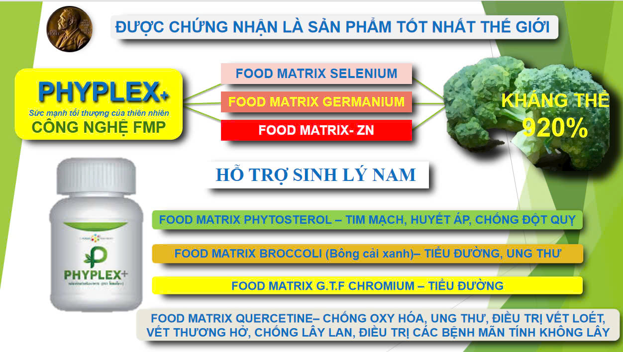 KHÁNG SINH PHYPLEX PLUS